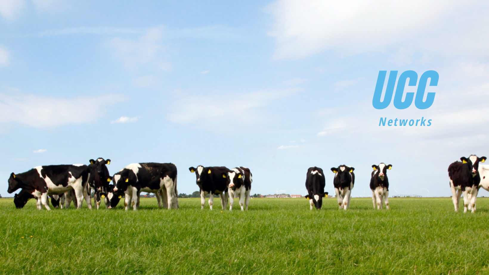 UCC Networks Secures Prestigious Zoom Phone Federal Contract for USDA for the Third Consecutive Year